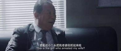 国产杀手回忆在线观看,暗影重生的复仇之旅