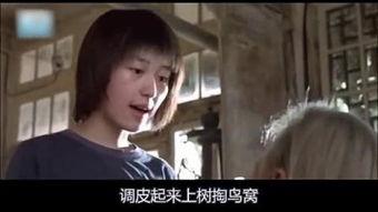 爱拍国产大片在线,爱拍平台带你领略国产电影魅力