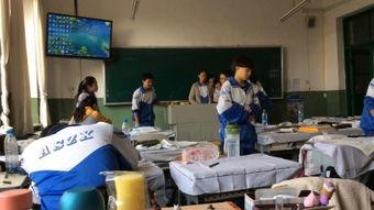 视频在线国产片玫玫,探寻青春与梦想的交织之旅