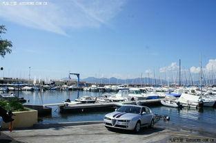 国产亚欧综合在线观看