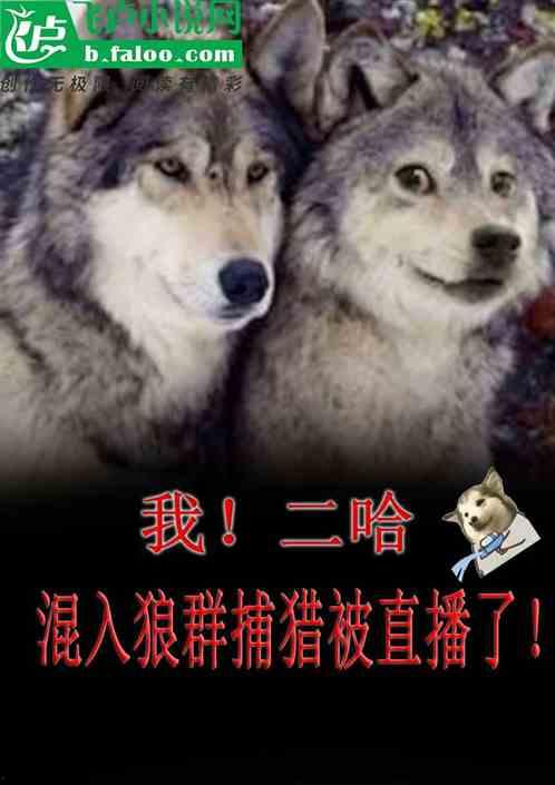 国产小说狼群在线观看网站